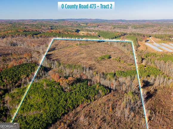 155 Acres of Agricultural Land for Sale in Newell, Alabama