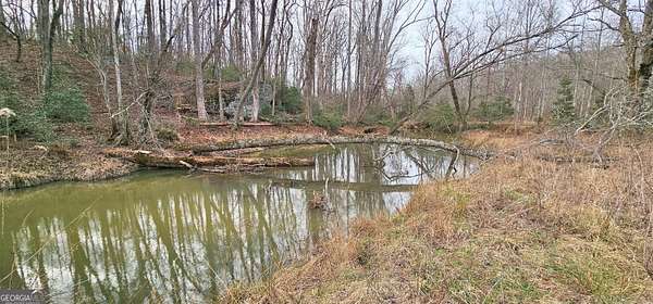 25 Acres of Recreational Land for Sale in Mount Airy, Georgia