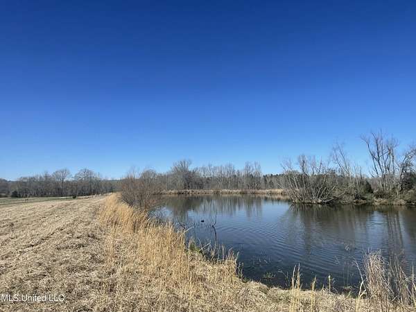 11.1 Acres of Land for Sale in Yazoo City, Mississippi