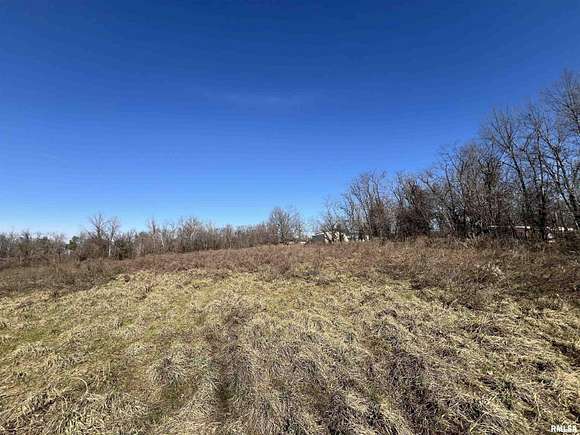 16.9 Acres of Agricultural Land for Sale in Equality, Illinois