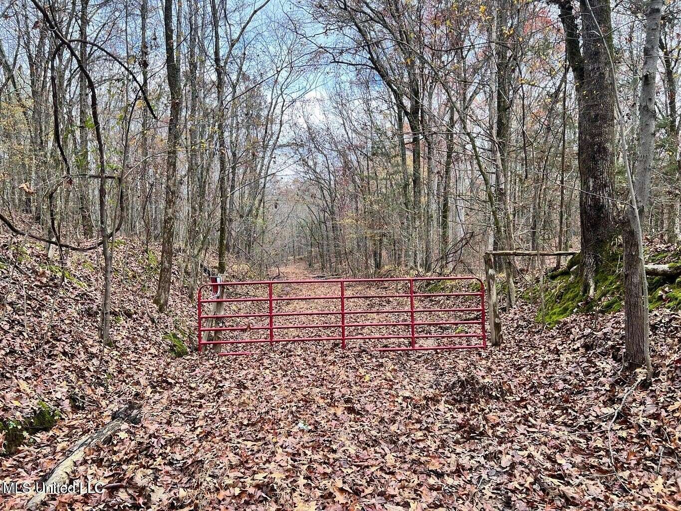 20 Acres of Land for Sale in Byhalia, Mississippi