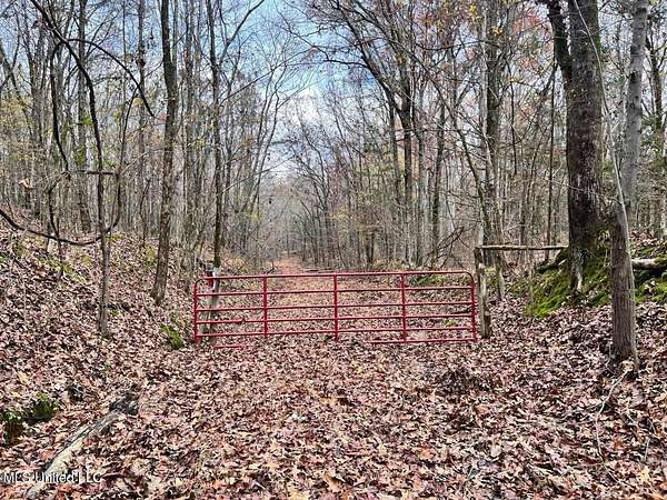 20 Acres of Land for Sale in Byhalia, Mississippi