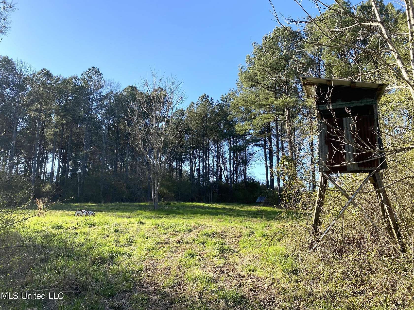 60 Acres of Recreational Land for Sale in Conehatta, Mississippi