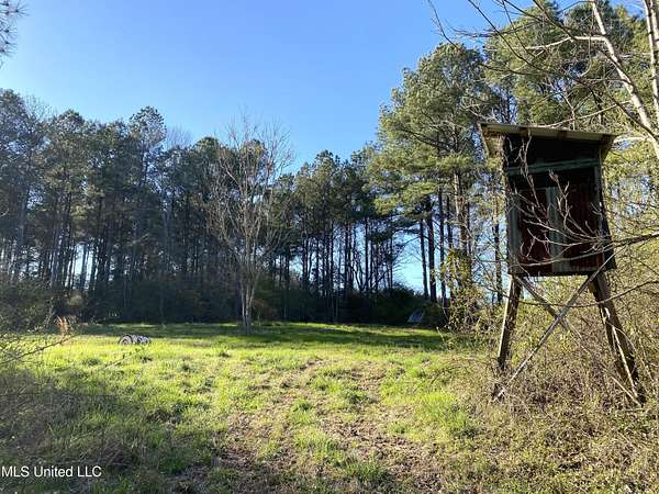 60 Acres of Recreational Land for Sale in Conehatta, Mississippi