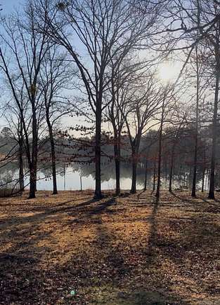 0.98 Acres of Residential Land for Sale in Clinton, Arkansas