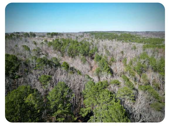 13 Acres of Recreational Land for Sale in Double Springs, Alabama