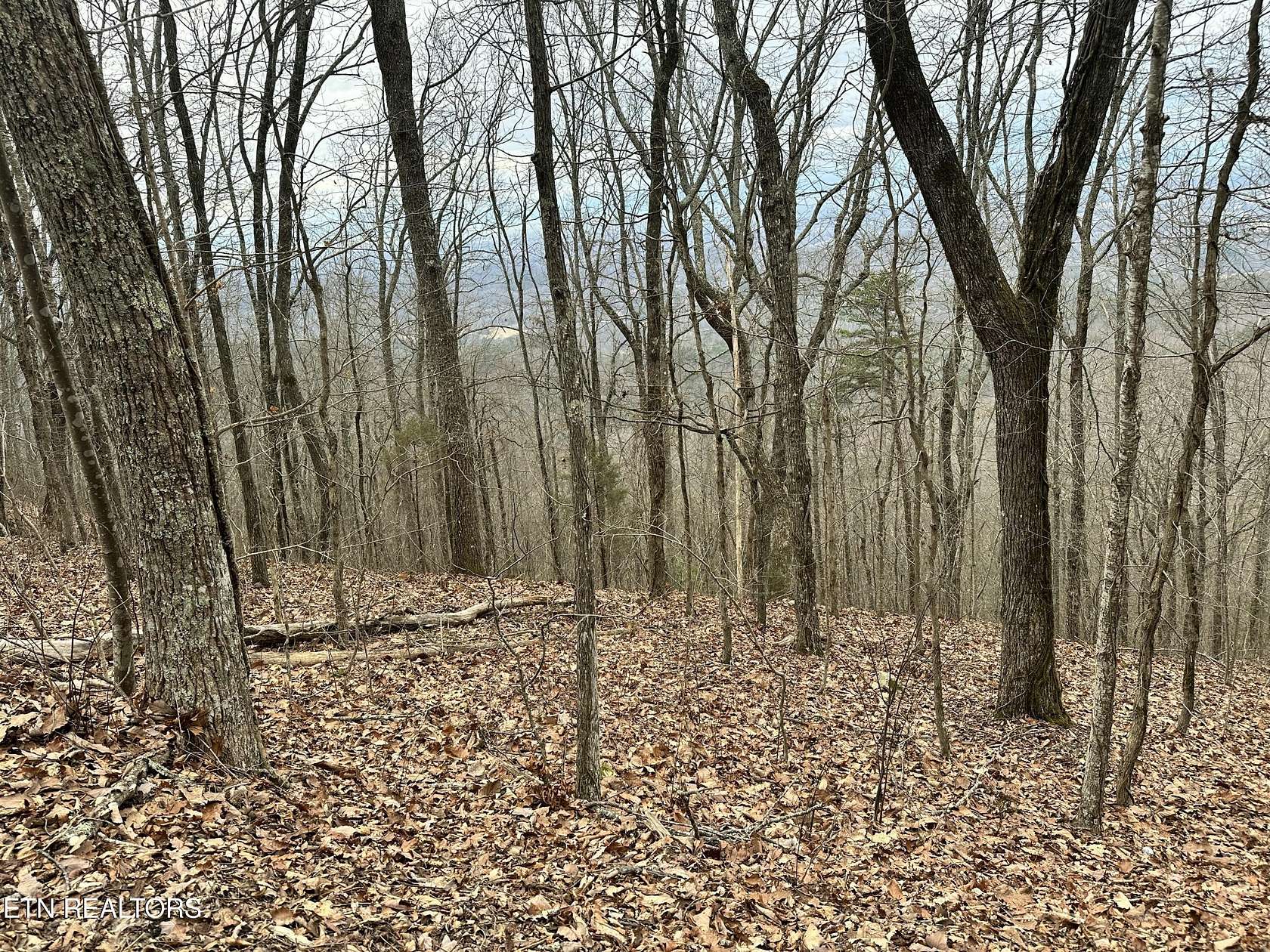 2.83 Acres of Land for Sale in Maryville, Tennessee