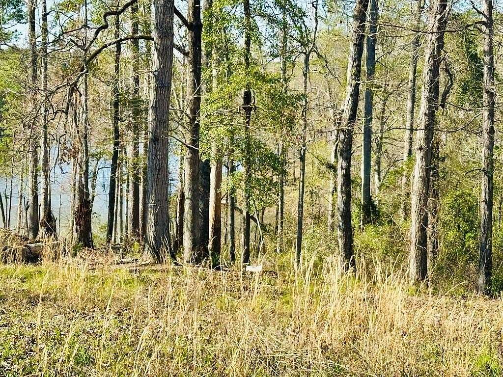 1 Acre of Land for Sale in Abbeville, Alabama
