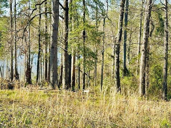 1 Acre of Land for Sale in Abbeville, Alabama