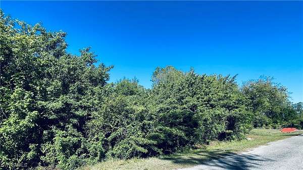 0.49 Acres of Residential Land for Sale in Lehigh Acres, Florida