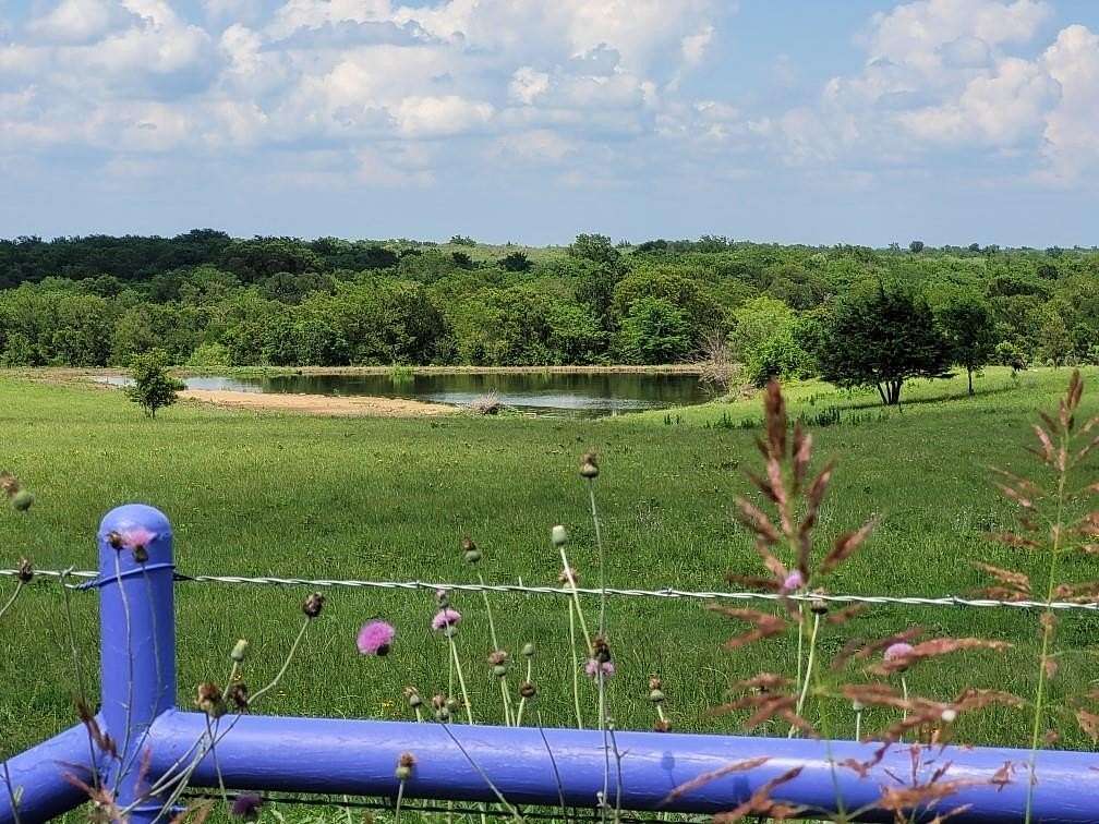 143 Acres of Recreational Land for Sale in Coolidge, Texas