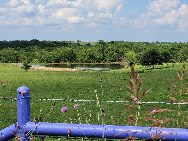 143 Acres of Recreational & Residential Land for Sale in Coolidge, Texas