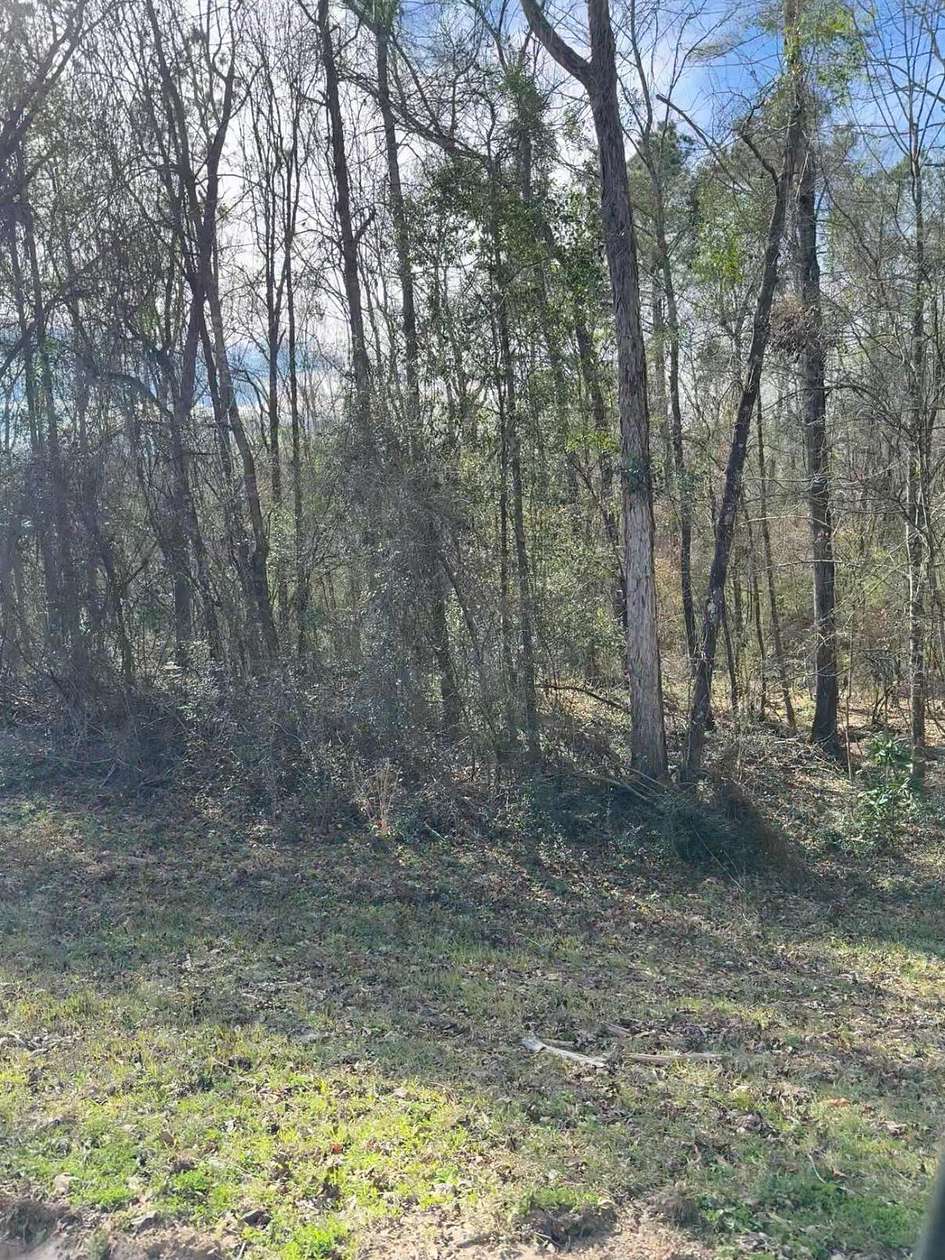 Residential Land for Sale in Petal, Mississippi