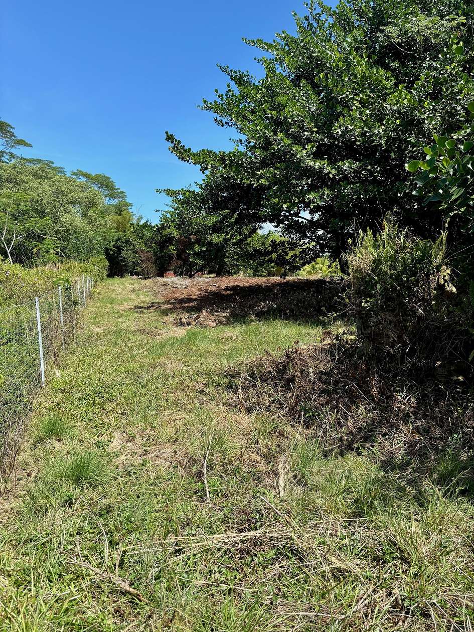 1 Acre of Residential Land for Sale in Keaau, Hawaii