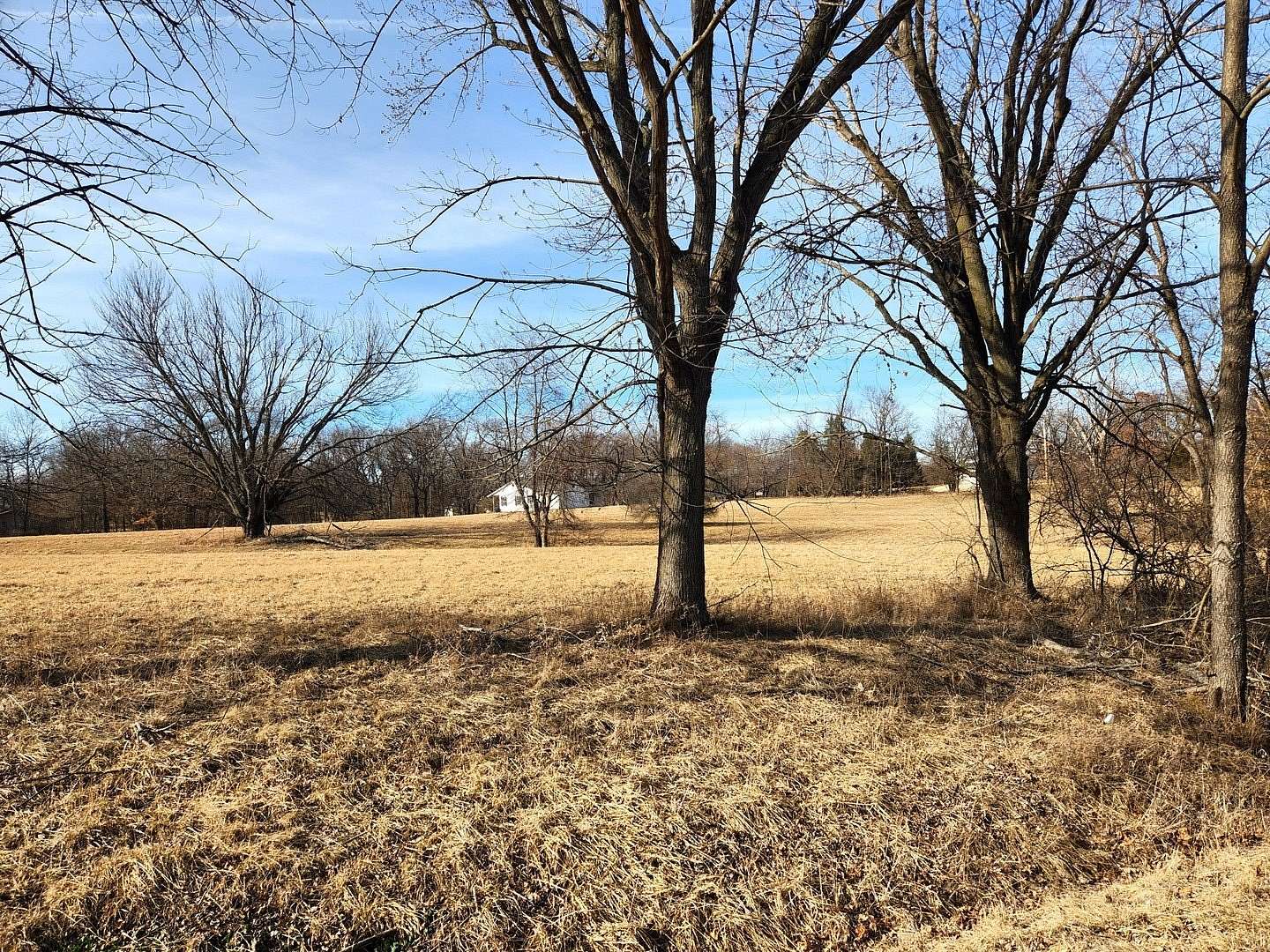 Land for Sale in Varna, Illinois