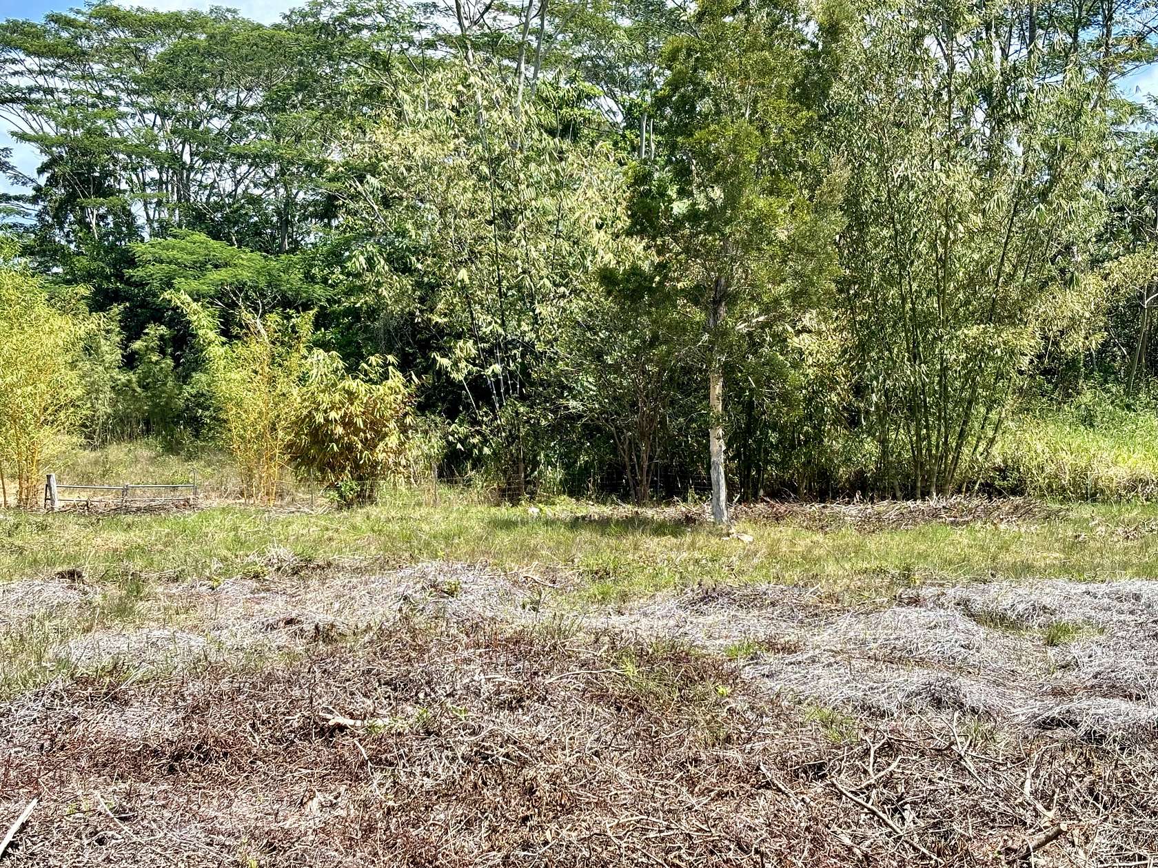 1 Acre of Residential Land for Sale in Keaau, Hawaii