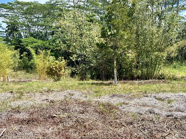1 Acre of Residential Land for Sale in Keaau, Hawaii