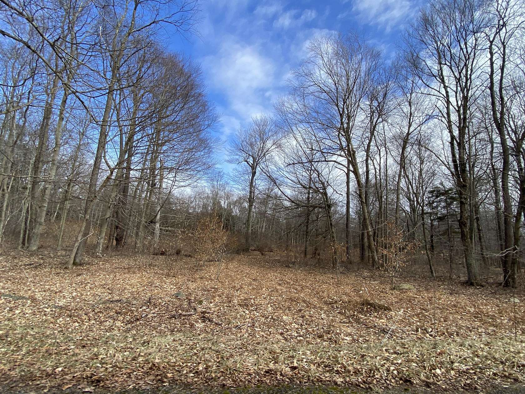 4.48 Acres of Residential Land for Sale in Pocono Lake, Pennsylvania