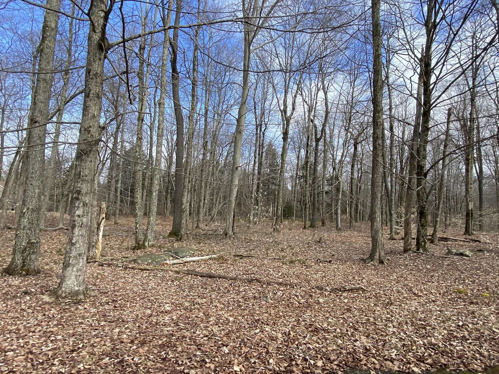 4.34 Acres of Residential Land for Sale in Pocono Lake, Pennsylvania