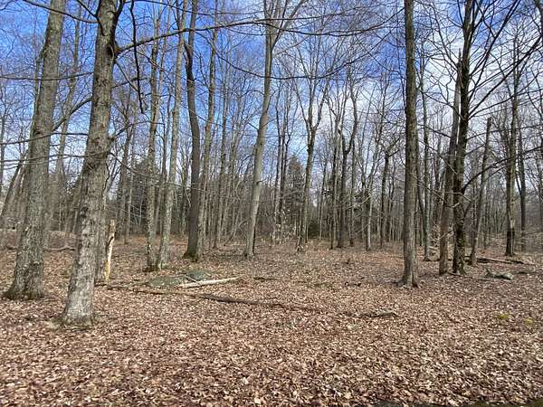 4.34 Acres of Residential Land for Sale in Pocono Lake, Pennsylvania