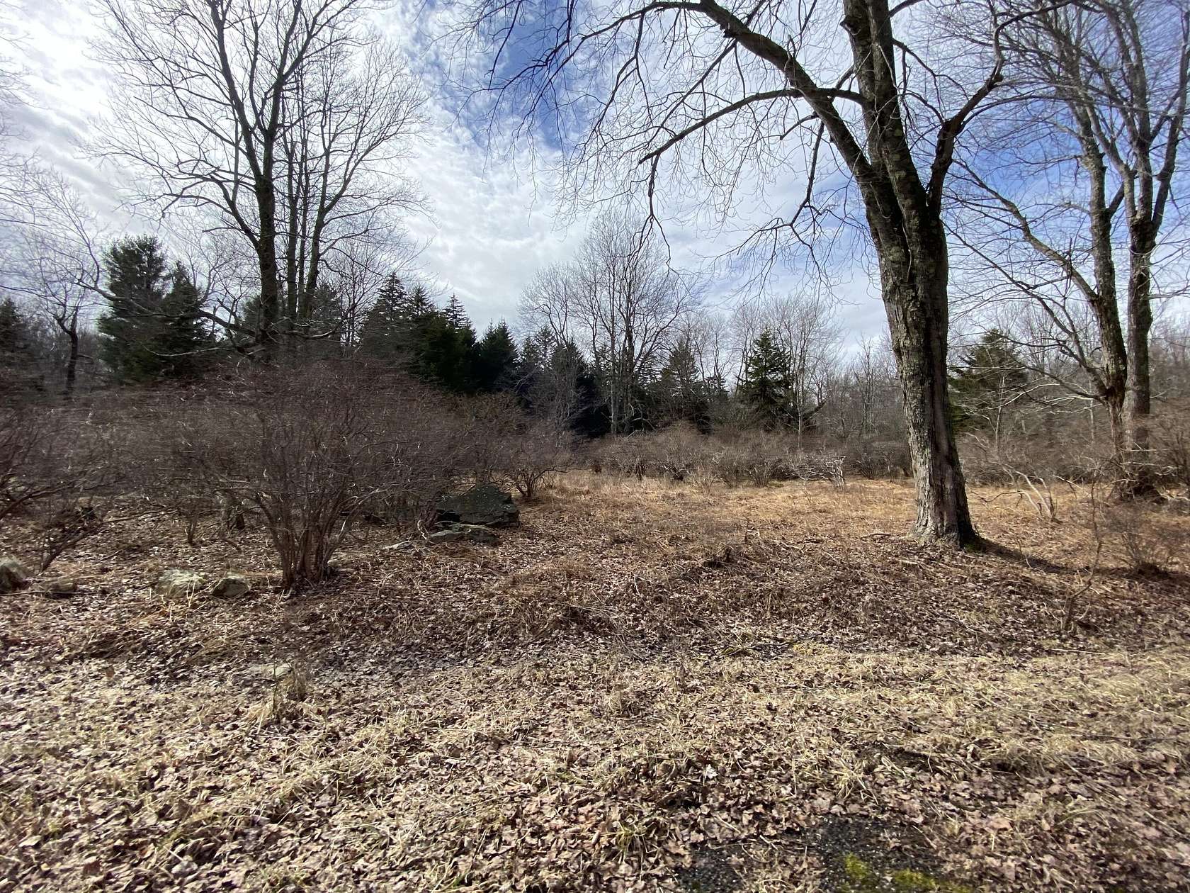 2 Acres of Residential Land for Sale in Pocono Lake, Pennsylvania