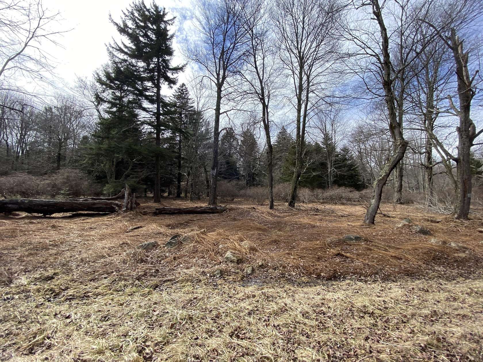 2 Acres of Residential Land for Sale in Pocono Lake, Pennsylvania