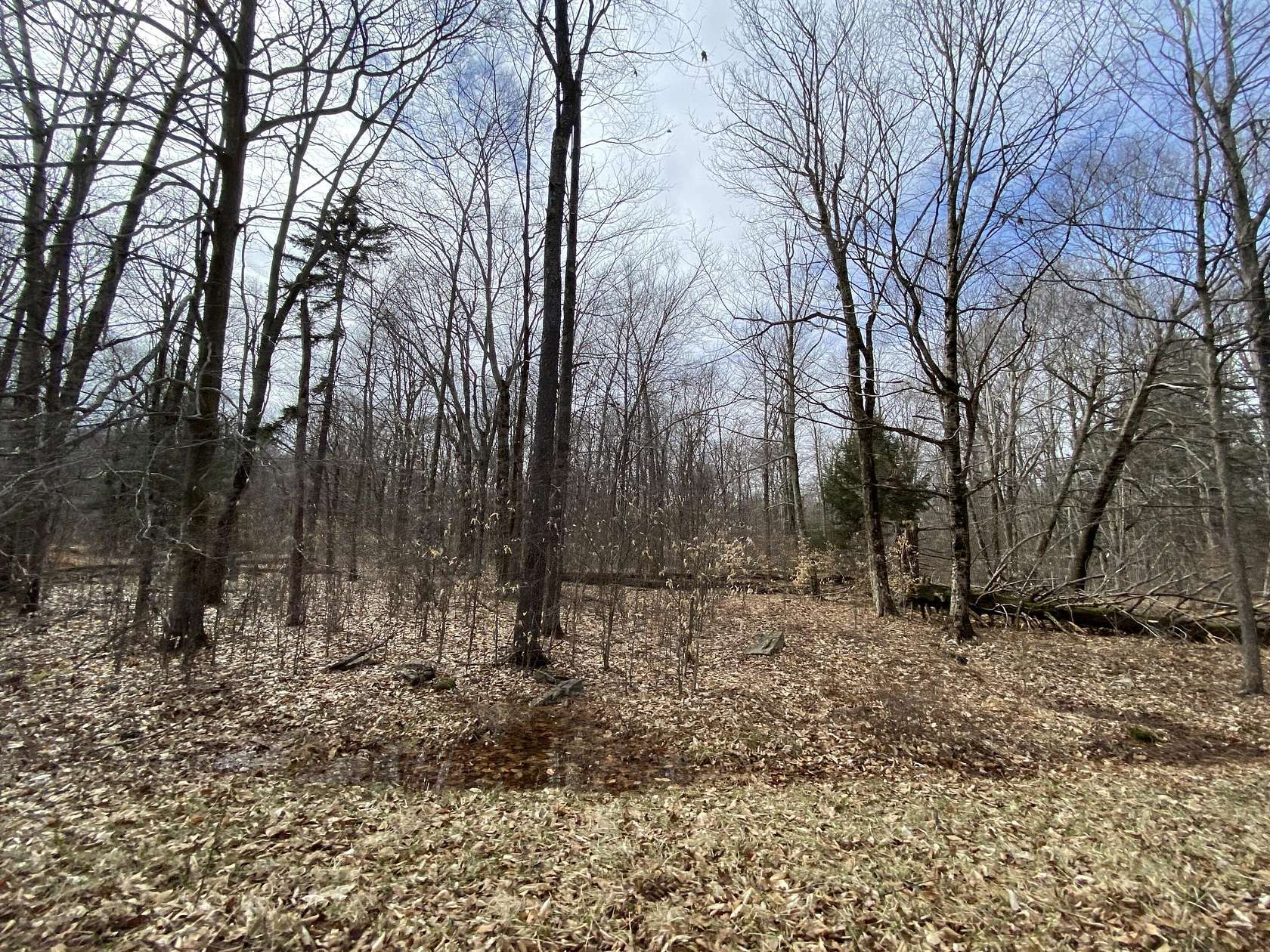 2 Acres of Residential Land for Sale in Pocono Lake, Pennsylvania