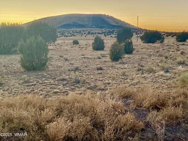1.3 Acres of Residential Land for Sale in Concho, Arizona