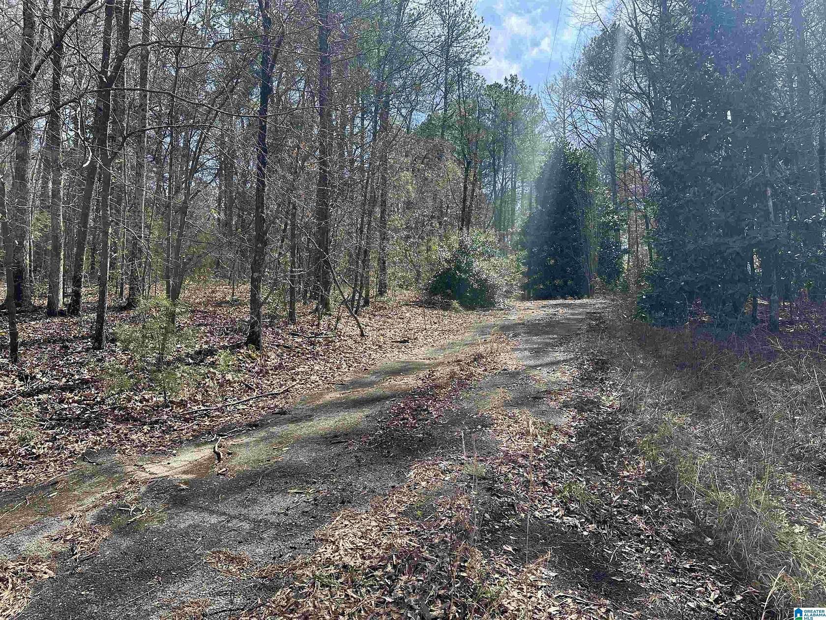 10.5 Acres of Land for Sale in Anniston, Alabama