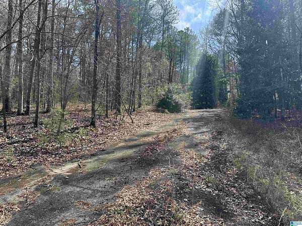 10.5 Acres of Land for Sale in Anniston, Alabama