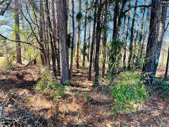 0.25 Acres of Residential Land for Sale in Prosperity, South Carolina