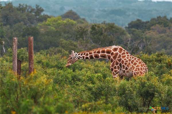 105 Acres of Land for Sale in Mountain Home, Texas