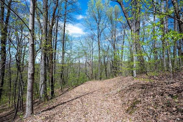 6.83 Acres of Land for Sale in Ellijay, Georgia
