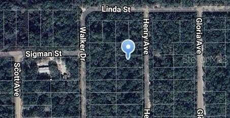 0.28 Acres of Residential Land for Sale in Interlachen, Florida