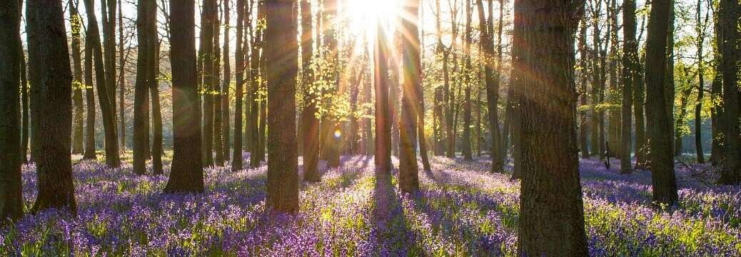 1.14 Acres of Residential Land for Sale in Henryville, Pennsylvania