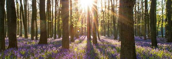 1.14 Acres of Residential Land for Sale in Henryville, Pennsylvania