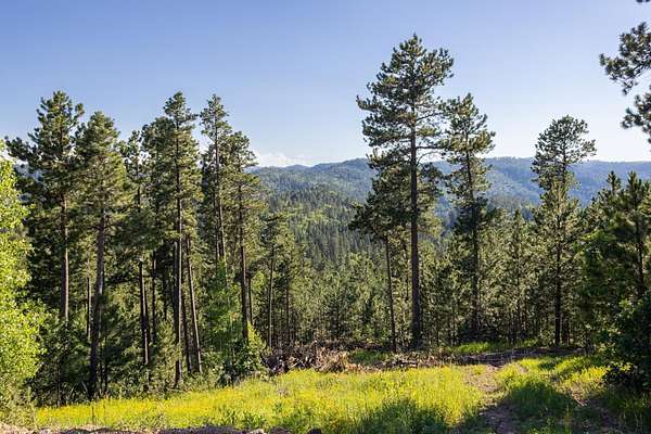 3.54 Acres of Land for Sale in Lead, South Dakota