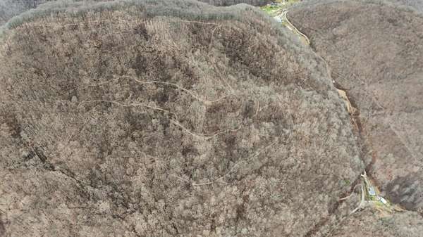 106 Acres of Recreational Land for Sale in Manchester, Kentucky