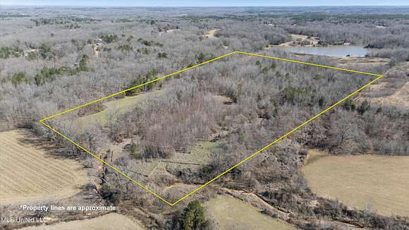 22 Acres of Recreational Land & Farm for Sale in Coldwater, Mississippi