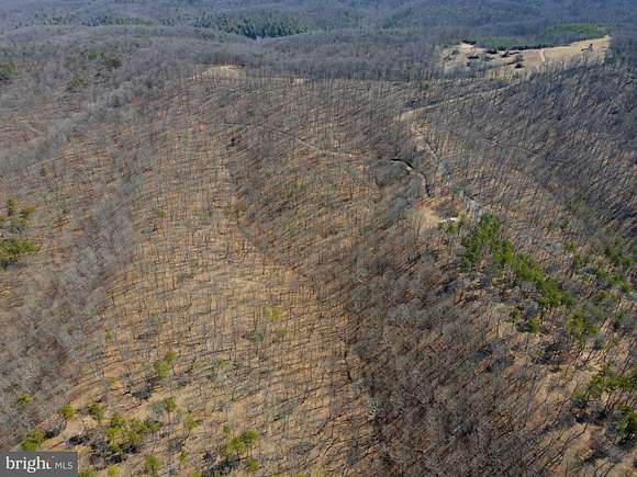 155 Acres of Land for Sale in Springfield, West Virginia