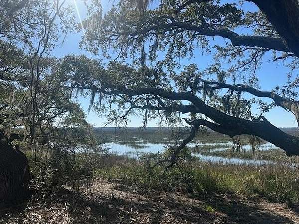 57.7 Acres of Land for Sale in Johns Island, South Carolina