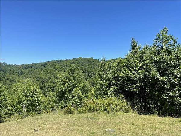 80.8 Acres of Recreational Land for Sale in Swords Creek, Virginia
