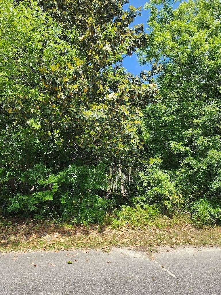 0.16 Acres of Residential Land for Sale in Mayesville, South Carolina