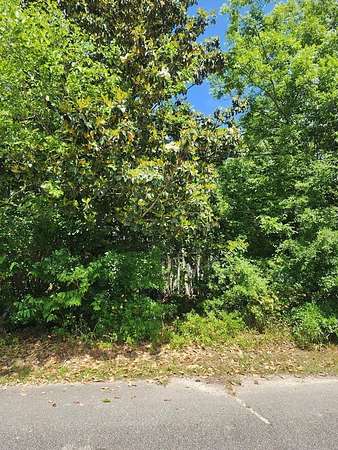 0.16 Acres of Residential Land for Sale in Mayesville, South Carolina