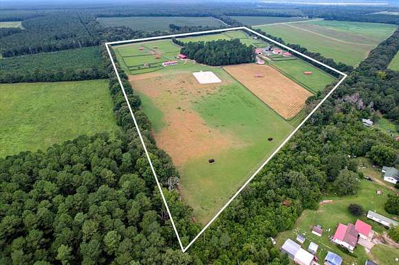 60 Acres of Improved Agricultural Land for Sale in Williston, South Carolina