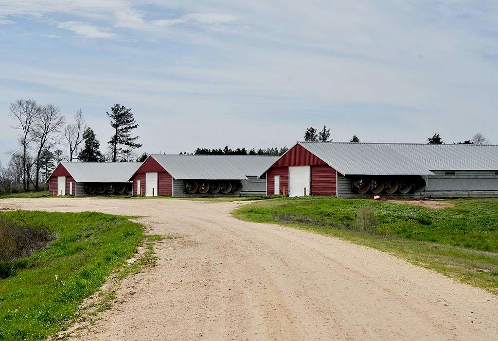 48 Acres of Agricultural Land with Home for Sale in Prentiss, Mississippi