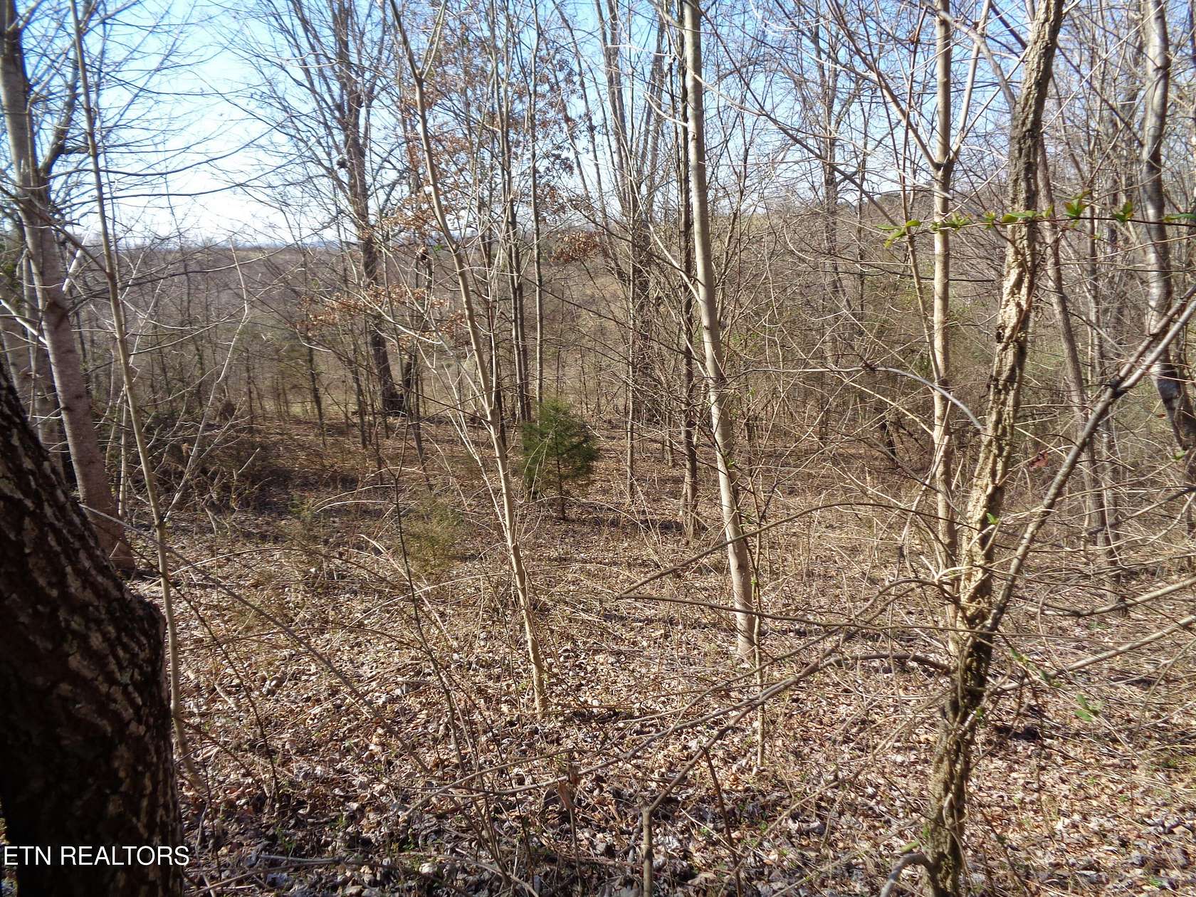1 Acre of Residential Land for Sale in Rutledge, Tennessee