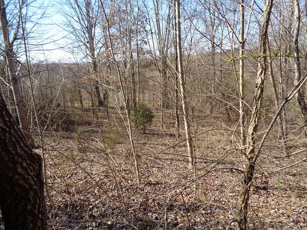 1 Acre of Residential Land for Sale in Rutledge, Tennessee
