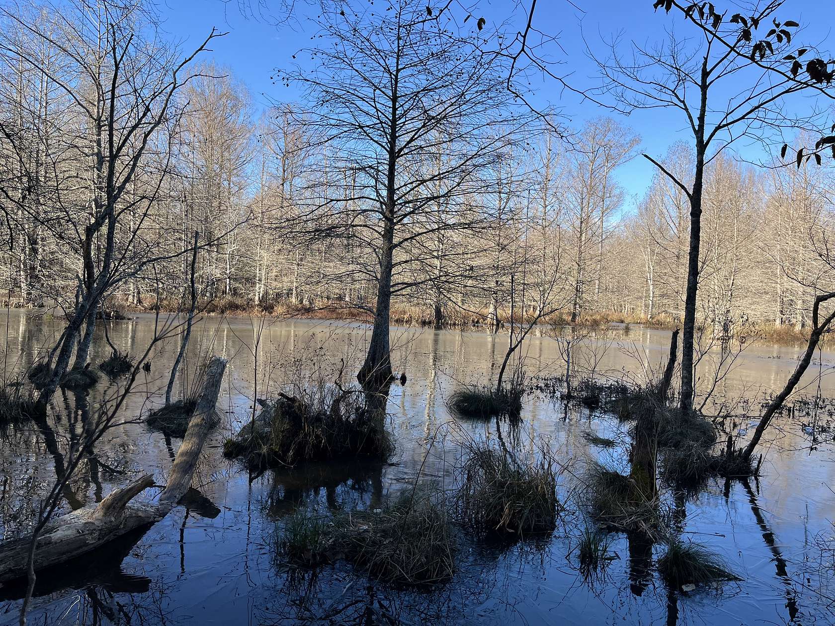 80 Acres of Recreational Land & Farm for Sale in Camden, Arkansas