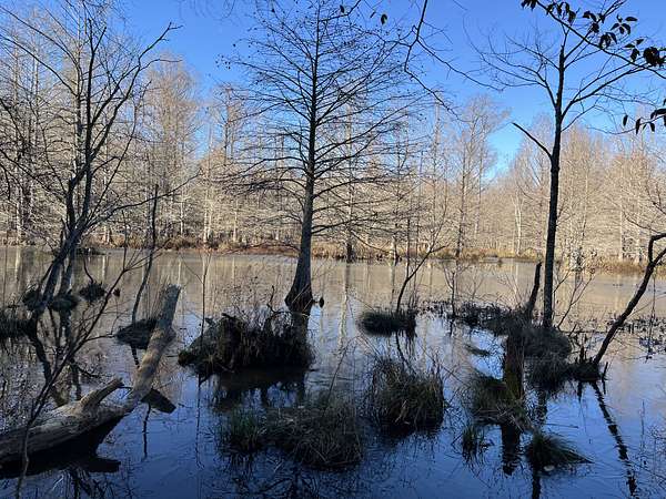 80 Acres of Recreational Land & Farm for Sale in Camden, Arkansas